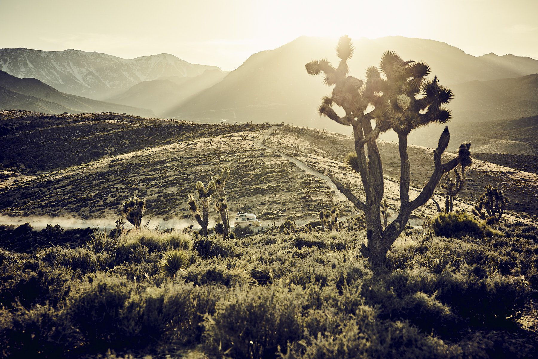 19025_TravelNevada-09025.JPG